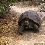 Photo taken by Richard P