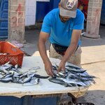 Photo taken by Cynthia F