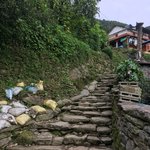 Photo taken by Joanna K