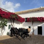 Photo taken by Joey R