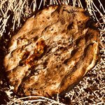 Photo taken by Rajarshi M