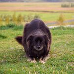 Photo taken by Yumi A