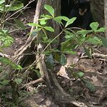 Photo taken by Micheline F