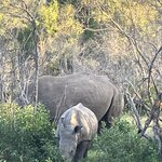 Photo taken by rhonda c