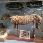 Photo taken by Kim M