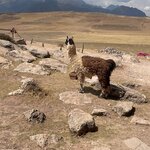 Photo taken by Shanthi V