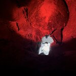 Turtle nesting  | Photo taken by Sabrina S