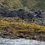 Photo taken by Mike C