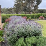 Photo taken by Rosemary S