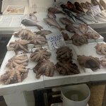 Photo taken by Jenifer B