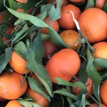 Photo taken by judy P