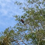 Photo taken by Ciarra N