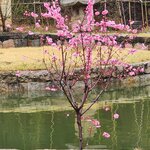 Photo taken by Mark C