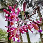 Photo taken by Brett F