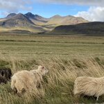 Photo taken by Yumi A