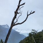 Photo taken by Devon B