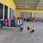 Photo taken by Dawne D