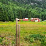 Photo taken by Tamara N