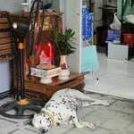 Photo taken by Michael and Kristen S