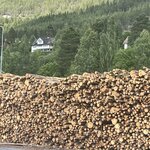 Photo taken by Janice W