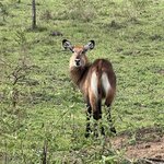 Photo taken by Michael L