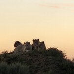 Photo taken by William R