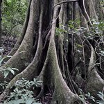 Photo taken by Sheila G