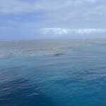 Photo taken by Jane V