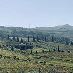 Photo taken by Dee C