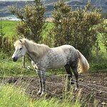 Photo taken by Sharon B