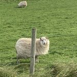 Photo taken by Noelle F