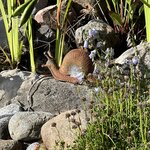 Photo taken by Tommy B