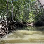 Photo taken by Joyce C