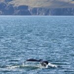 Photo taken by Tim Z