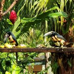 Photo taken by Garritt V