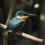 Photo taken by Skye C