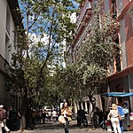 Photo taken by Marcia G