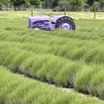 Photo taken by kevin c