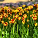 Photo taken by Nancy M