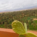 Photo taken by Cynthia T