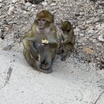 Photo taken by Martin L