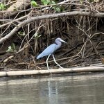 Photo taken by Morton A