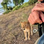 Photo taken by Kaye D