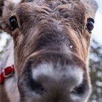 Photo taken by Bethany G