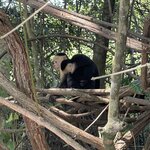 Photo taken by Matt P