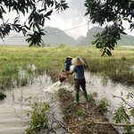 Photo taken by Vanessa V