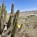 Photo taken by G'nee A