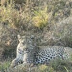 Photo taken by Joanne B