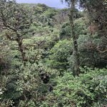 Photo taken by ted m