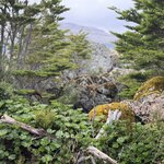 Photo taken by sam s